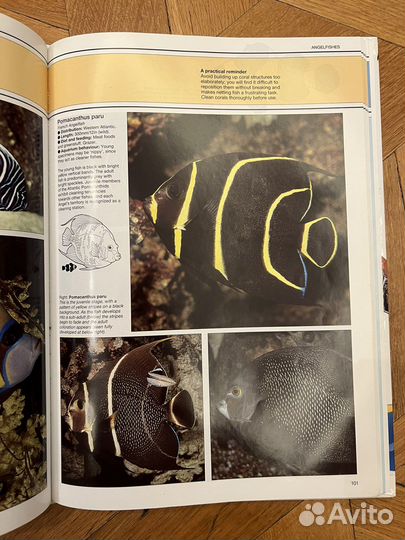 Книга The Marine Aquarium