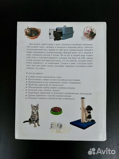 Энциклопедия про кошек