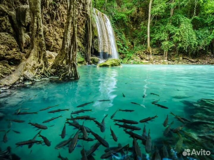 Турне в г. Паттайю 7 дн