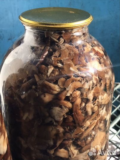 Опята маринованные. Очень вкусные