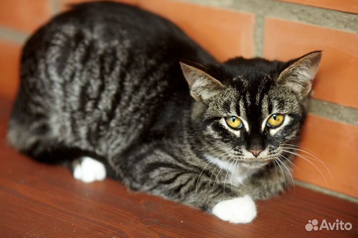 Девочка Лея ищет маму