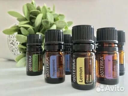 Семейная аптечка doterra с балансом и грейпфрутом