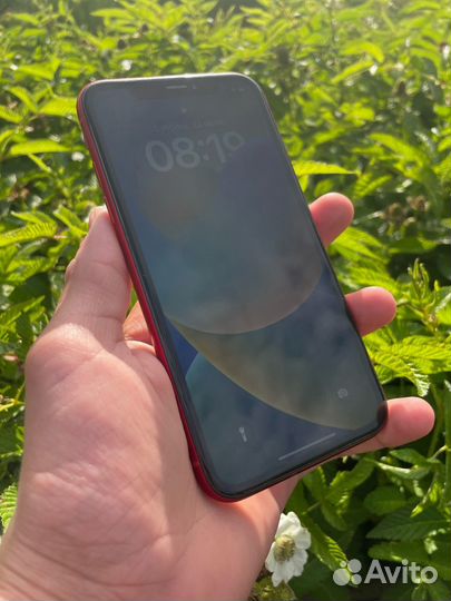 iPhone xr 64gb red
