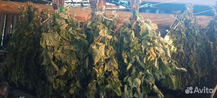 Веники для бани