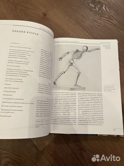 Анатомия для художников дюваль