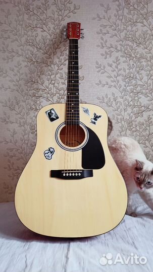Акустическая гитара fender squier