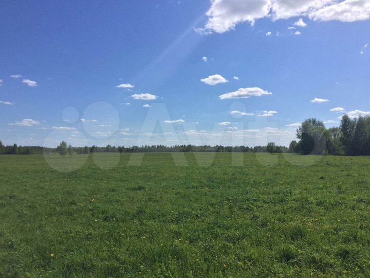 Участок 11 га (СНТ, ДНП)