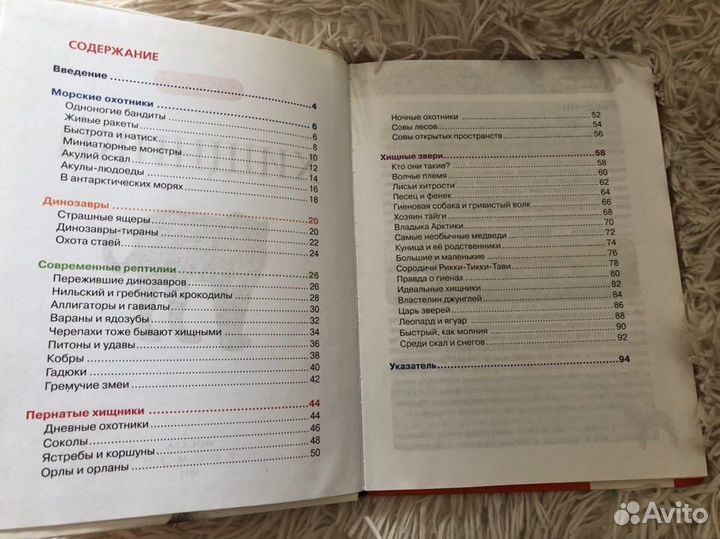 Детская энциклопедия росмэн