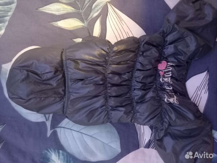 Одежда для маленьких собак