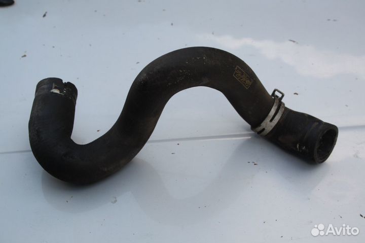 Патрубок радиатора нижний Ford Focus 2