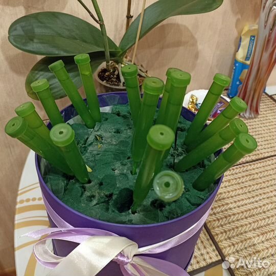 Флористические колбы