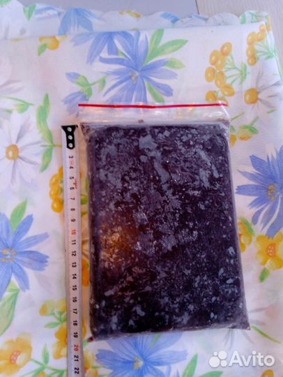 Корм для рыб: мотыль