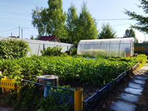 Автомойка ника чита телефон. Сто шелехова. 2 квартал шелехов. Оздоровительный центр шелехов. Култукский тракт 2а.