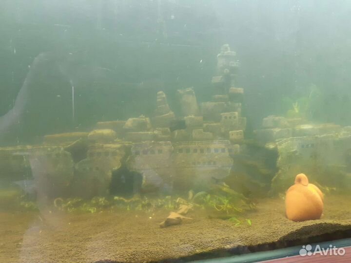 Аквариум 400литров