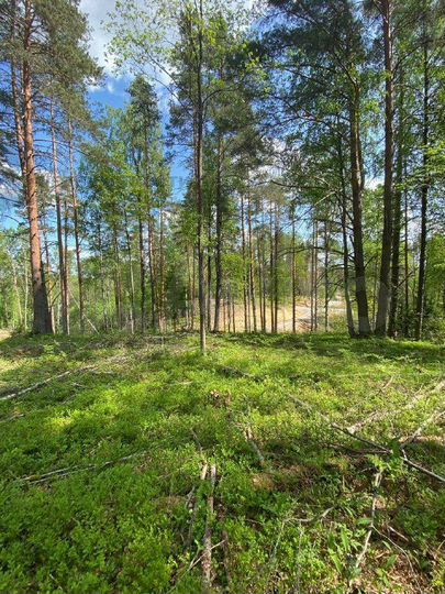 Участок 7,1 сот. (СНТ, ДНП)