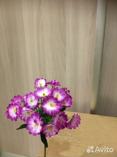 Бордюрные цветы