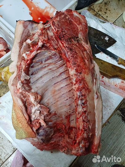 Мясо свинина домашняя