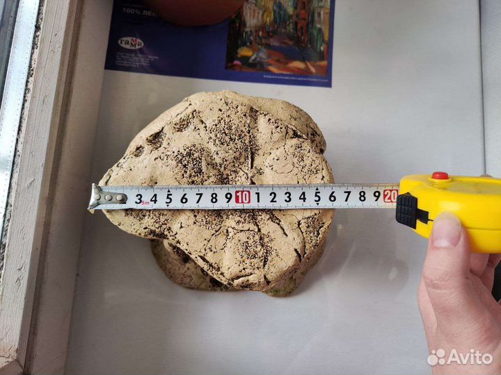 Декорации для аквариума