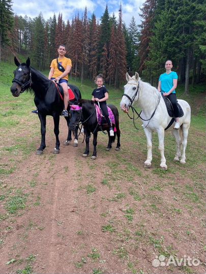 Катание на лошадях и пони