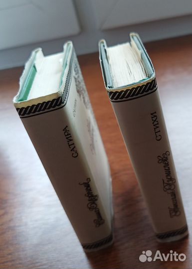 Николай Гумилев, Саша Черный