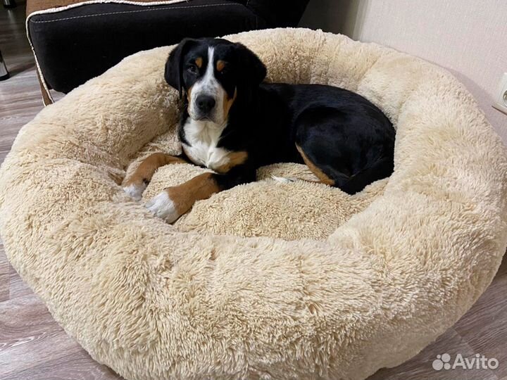 Лежанка для животных собак и кошек Доставка