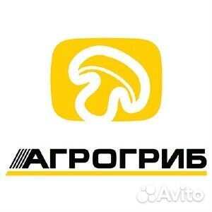 Сборщик грибов шампиньонов (рабочий)