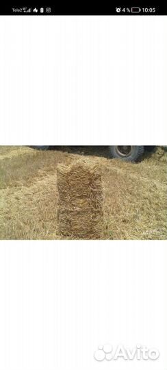 Гороховая солома