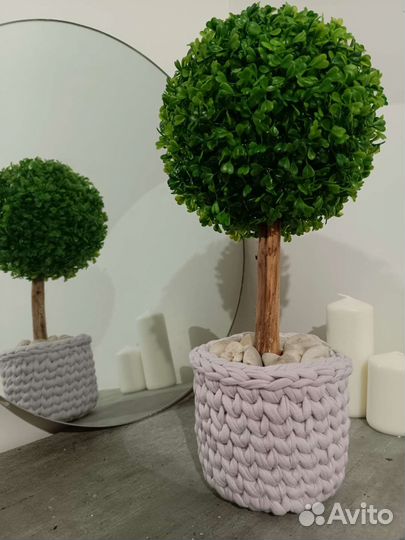 Искусственный самшит