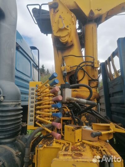 КАМАЗ 65117-62 с КМУ, 2008