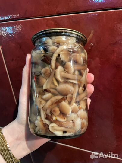 Опята маринованные