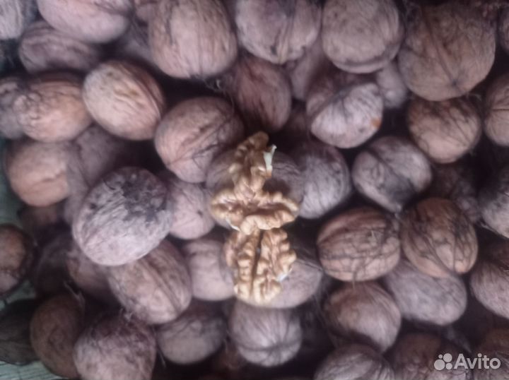 Грецкий орех