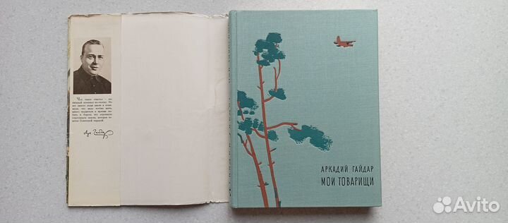 Мои товарищи. 1968 (а.гайдар)