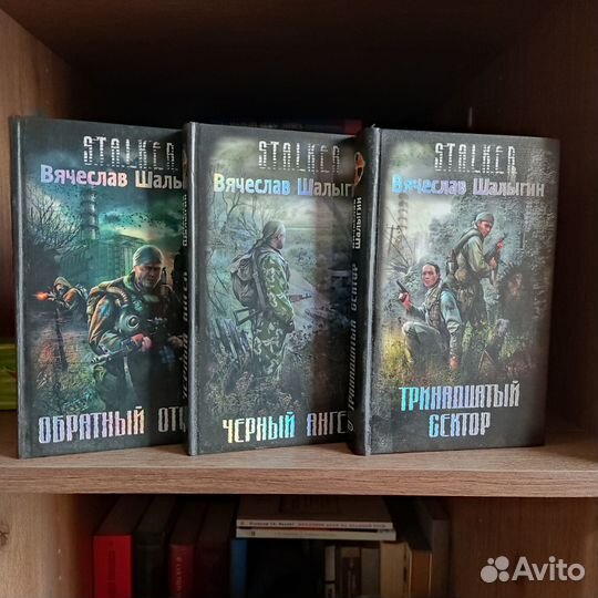 Книги Шалыгин Вячеслав Сталкер