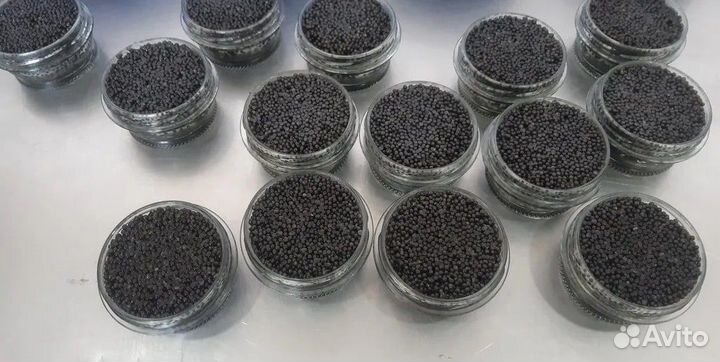 Икра Красная. Чёрная