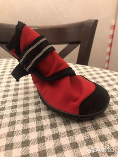 Зимняя обувь для собак