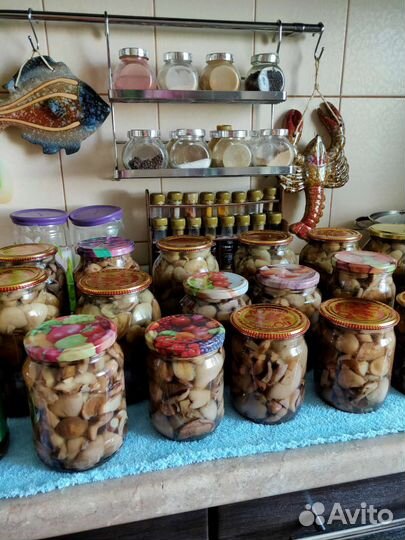 Грибы маслята маринованные