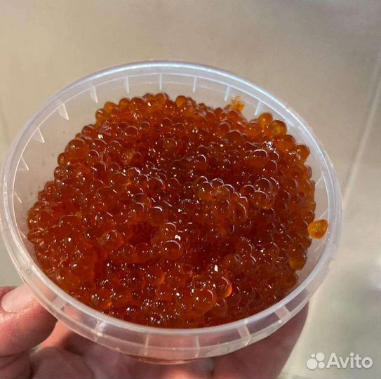 Красная икра 2023