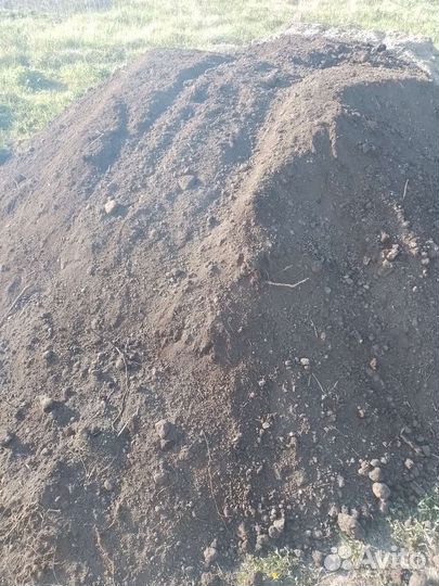 Чернозем (торф )