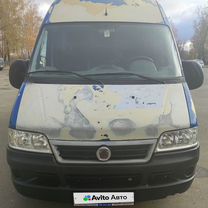 FIAT Ducato 2.3 MT, 2009, 49 000 км, с пробегом, цена 2 500 000 руб.