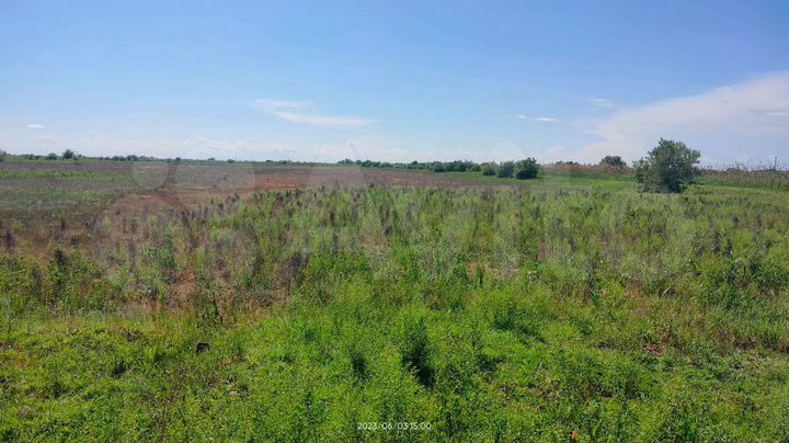 Участок 1,18 га (СНТ, ДНП)