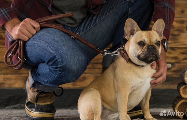 Rogz поводок серия 