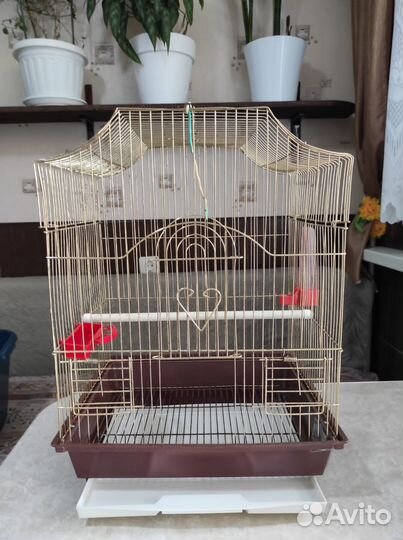 Клетки для птиц