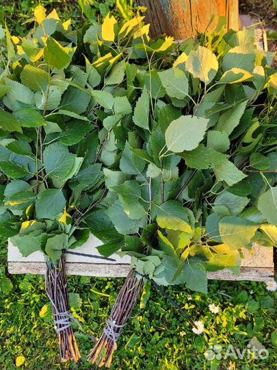 Веники для бани