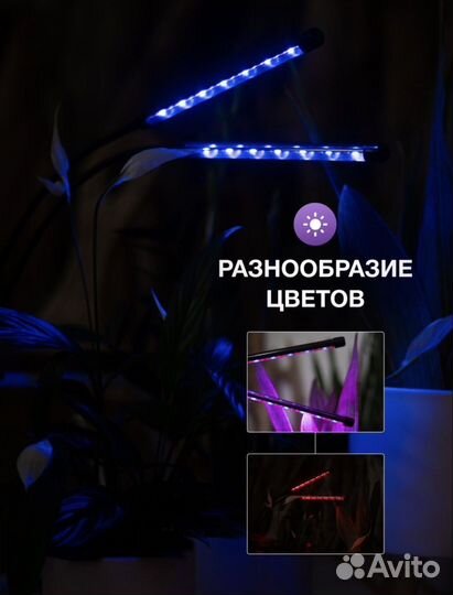 Фитолампа для растений полного спектра с таймером