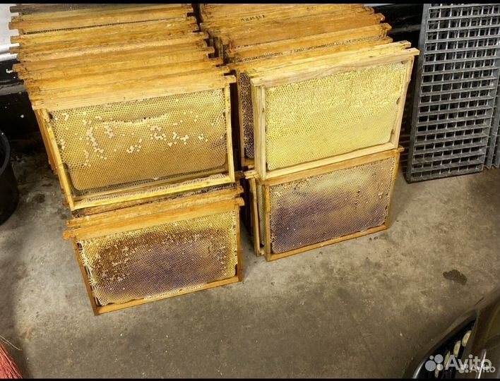 Сушь для пчел