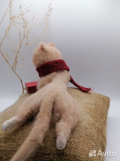 Кот Котенок