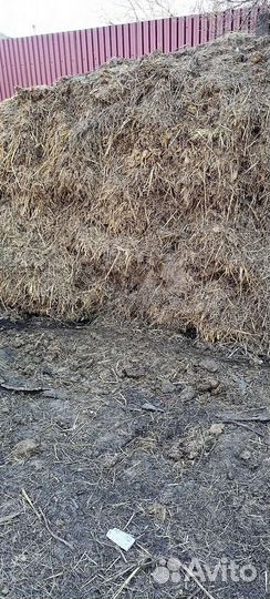 Коровий навоз