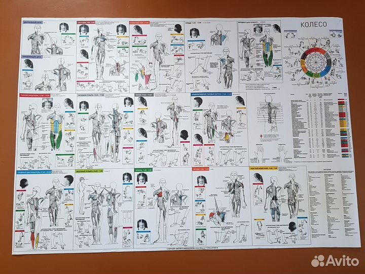 Кинезиология плакаты, И-цзин поведения, пособия