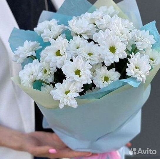 Хризантема Доставка цветов