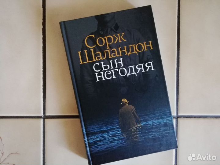 Сорж Шаландон - Сын негодяя
